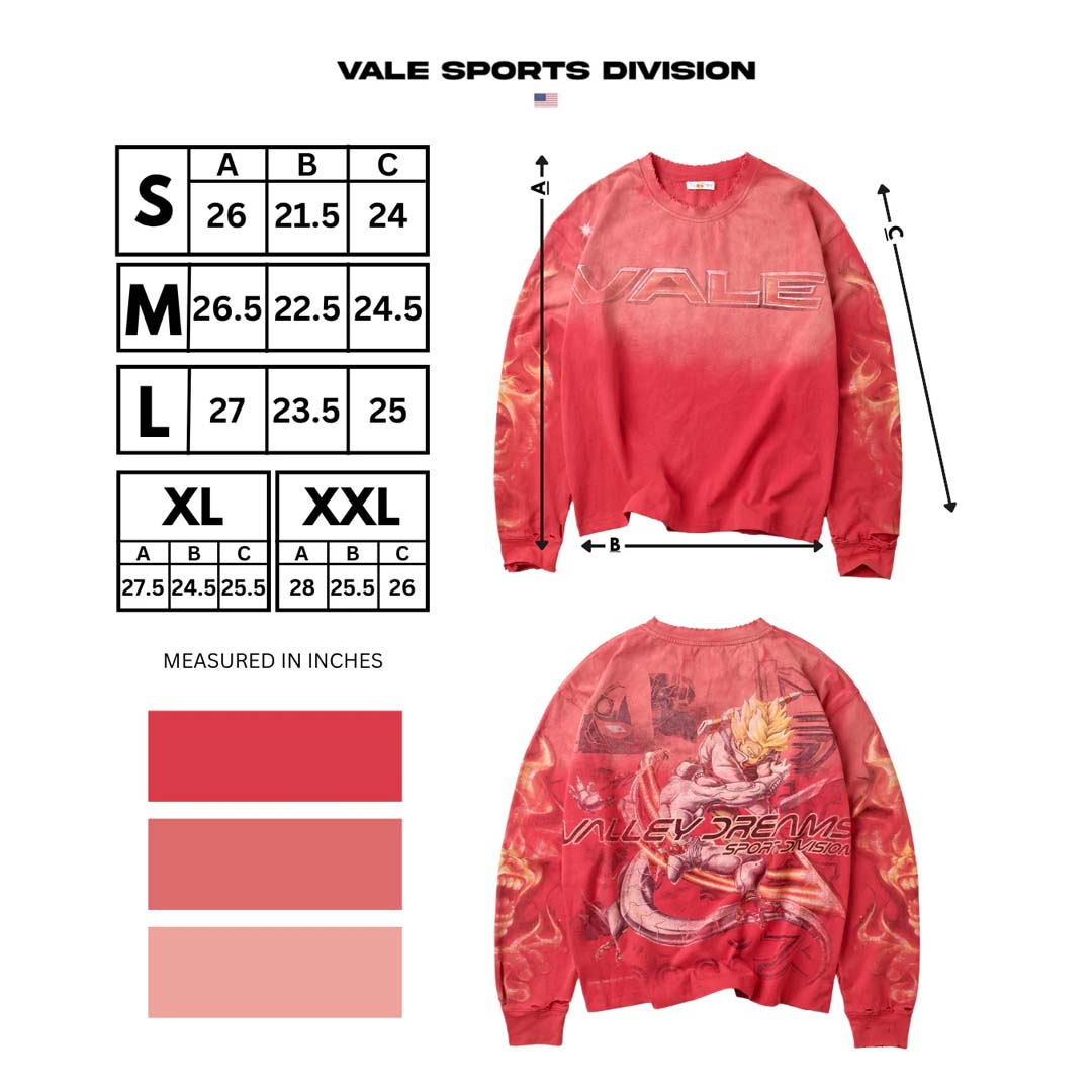Vale Forever Budokai Long Sleeve Tee Faded Red